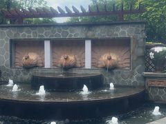 -美的鹭湖森林度假区