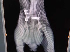 -佳雯宠物医院(四明中路分院)