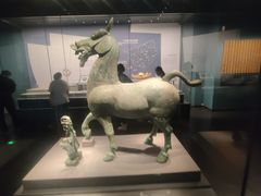 -广西壮族自治区博物馆