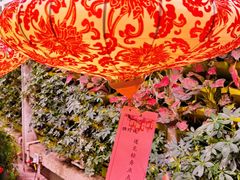 -正佳雨林生态植物园