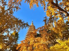 -北京石刻艺术博物馆(五塔寺)