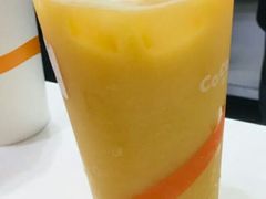 葡萄柚养乐多-CoCo都可(燕塘店)
