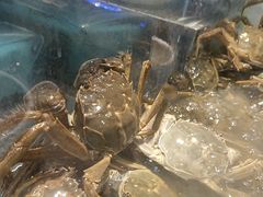 -金滏山烤肉·海鲜·火锅自助餐厅(襄阳万达店)