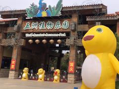 -南宫五洲植物乐园