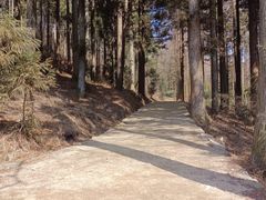 -罗田薄刀峰风景区