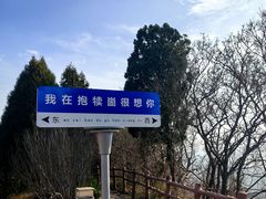 -抱犊崮国家森林公园