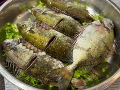 -丰尔粥食·粥底火锅·桑拿鸡(大良总店)