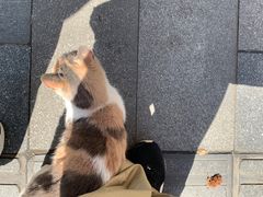 -鸿盛面庄(庆云北街2号院店)