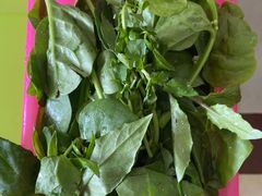 -15年老字号鑫鑫猪肚鸡·椰子鸡海南火锅(兴隆华侨农场店)