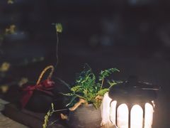 -villaa·别墅·融合菜西餐厅