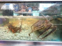 -盒马鲜生(宝地店)