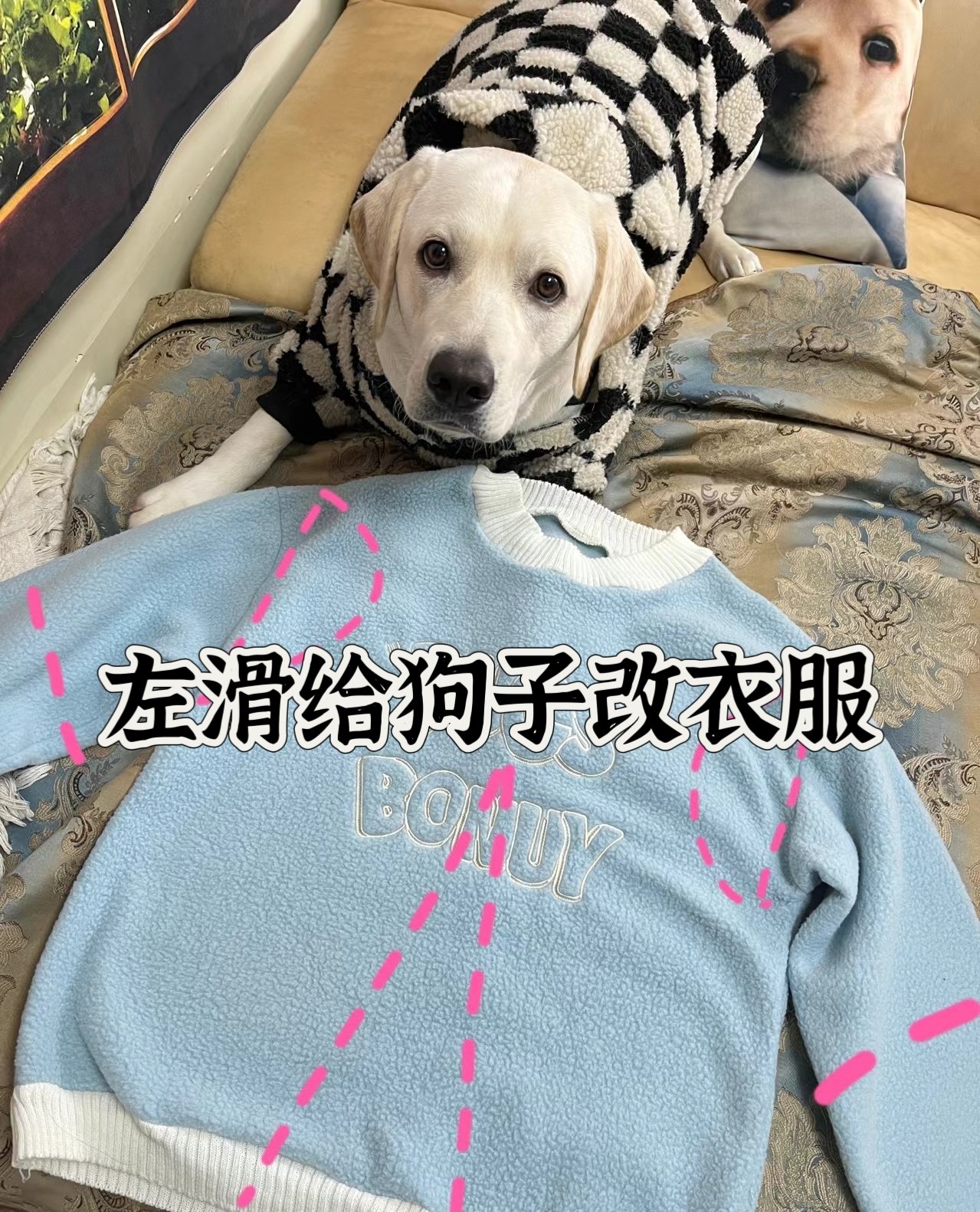 旧毛衣改成狗狗衣服图片