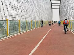 -白鹭湾湿地公园