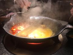 台式麻辣花胶鸡鸳鸯锅-湊湊火锅·茶憩(世博大道店)