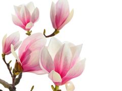 -华联商厦(火车站店)