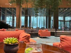 -北京望京凯悦酒店The Lounge大堂酒廊