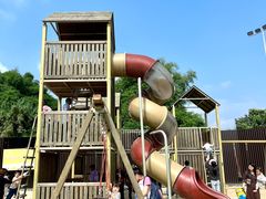 -枫香湖儿童公园