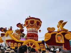 -荷兰花海