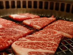 -烧江南烤肉(长春摩天活力城店)