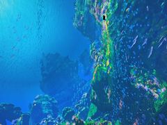 -海合安武汉极地海洋公园