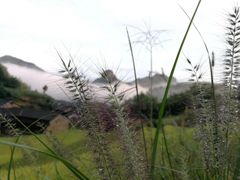 -公盂村
