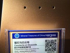 -中国地质大学逸夫博物馆