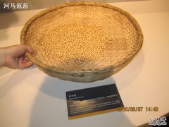 -上海动漫博物馆