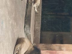 -柳州市动物园