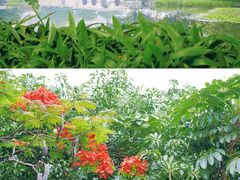 -广州西关永庆坊旅游区
