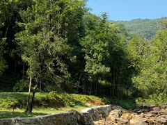 -广州白江湖森林公园