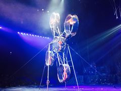 -珠海横琴长隆《卡卡虎奇遇记》