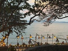 -卷心菜和避孕套餐厅(Pattaya)