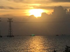 -宝安西湾红树林湿地公园