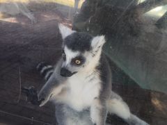 -泉州海丝野生动物世界