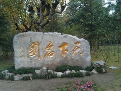 -水绘园
