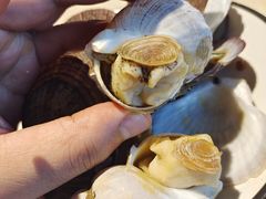 -蓝珊甄选海鲜自助·火锅大排档(近阿那亚店)