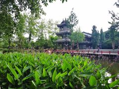 -黄龙溪古镇