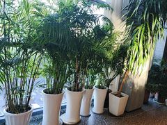 -新安人家·22年本地餐厅