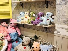 -济州岛泰迪熊博物馆