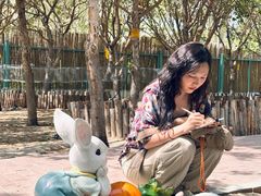 -水上乐园·欢乐世界