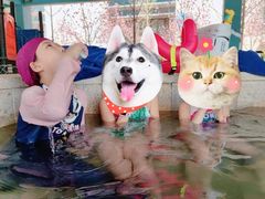 -南宫温泉水世界