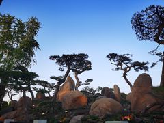 -罗红摄影艺术馆