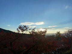 -有栖山 清光院 清水寺