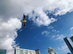 -海云台海滩