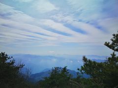 -王顺山国家森林公园