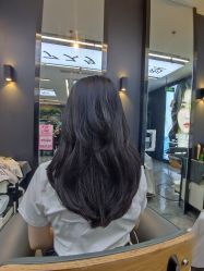 -藤野造型