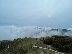 -白草畔自然风景区