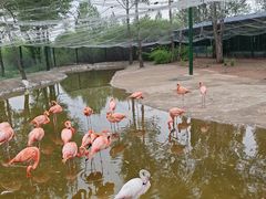 -鄂尔多斯野生动物园