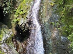 -南山植物园