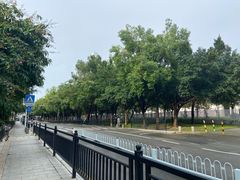 -长洲岛